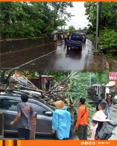 dampak cuaca buruk di Yogyakarta