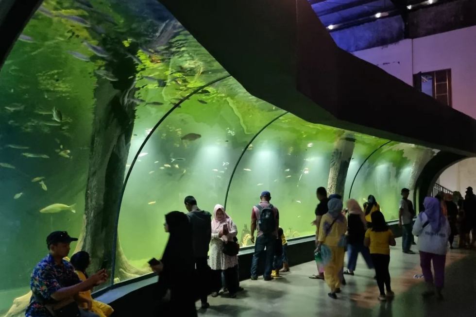 Aquarium terbesar di Indonesia