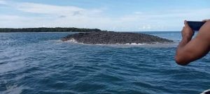 Muncul pulau baru di Maluku