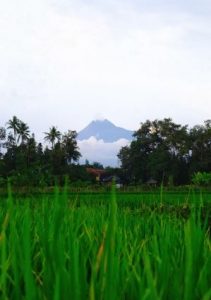 Karakteristik gunung Merapi